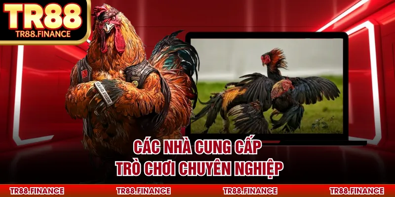 Các nhà cung cấp trò chơi chuyên nghiệp