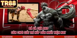 Đá Gà Cựa Dao - Sân Chơi Giải Trí Hấp Dẫn Nhất Hiện Nay