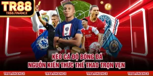 Kèo Cá Độ Bóng Đá - Nguồn Kiến Thức Thể Thao Trọn Vẹn