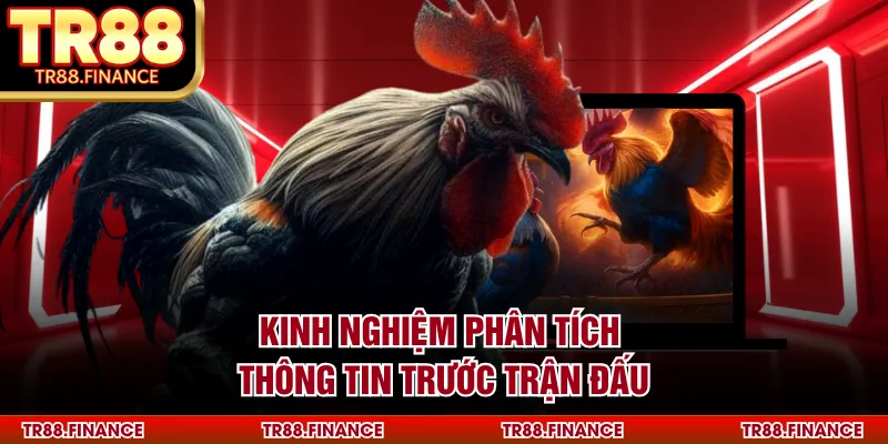 Kinh nghiệm phân tích thông tin trước trận đấu
