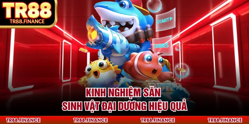 Kinh nghiệm săn sinh vật đại dương hiệu quả
