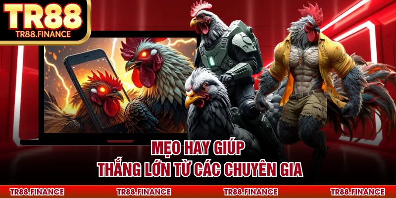 Mẹo hay giúp thắng lớn từ các chuyên gia