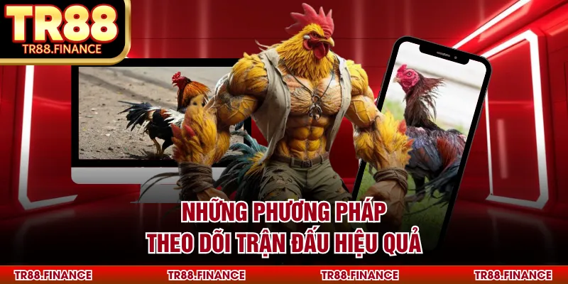 Những phương pháp theo dõi trận đấu hiệu quả