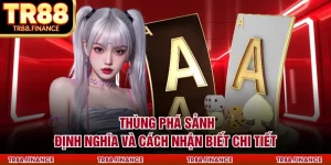 Thùng Phá Sảnh - Định Nghĩa Và Cách Nhận Biết Chi Tiết