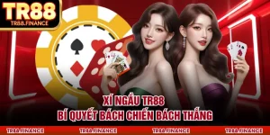 Xí Ngầu TR88 - Phương Pháp Dự Đoán Kết Quả Xúc Xắc Chuẩn Xác